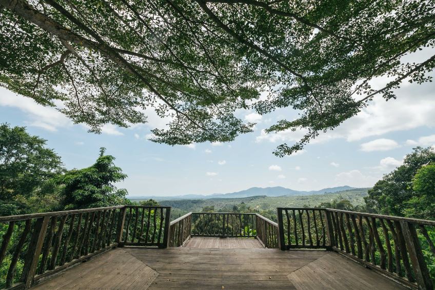 Teck Guan Cocoa Village Go Borneo Tours & Travel Travel Agency in